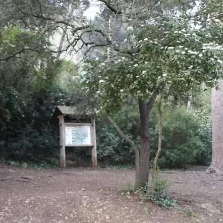 Casa Rural Ca Xelo Apartment *